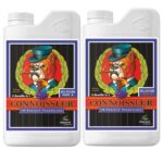 ADVANCED NUTRIENTS Connoisseur PH Perfect Bloom A + B 1L