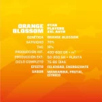 BSF SEEDS ORANGE BLOSSOM XXL AUTO - Imagen 2